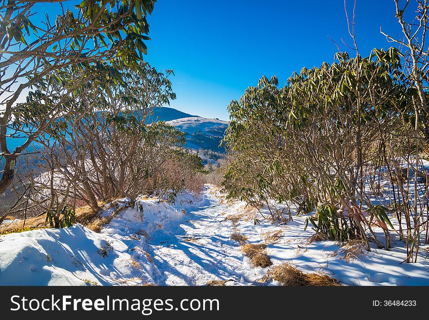 Snowy Roan Mountain