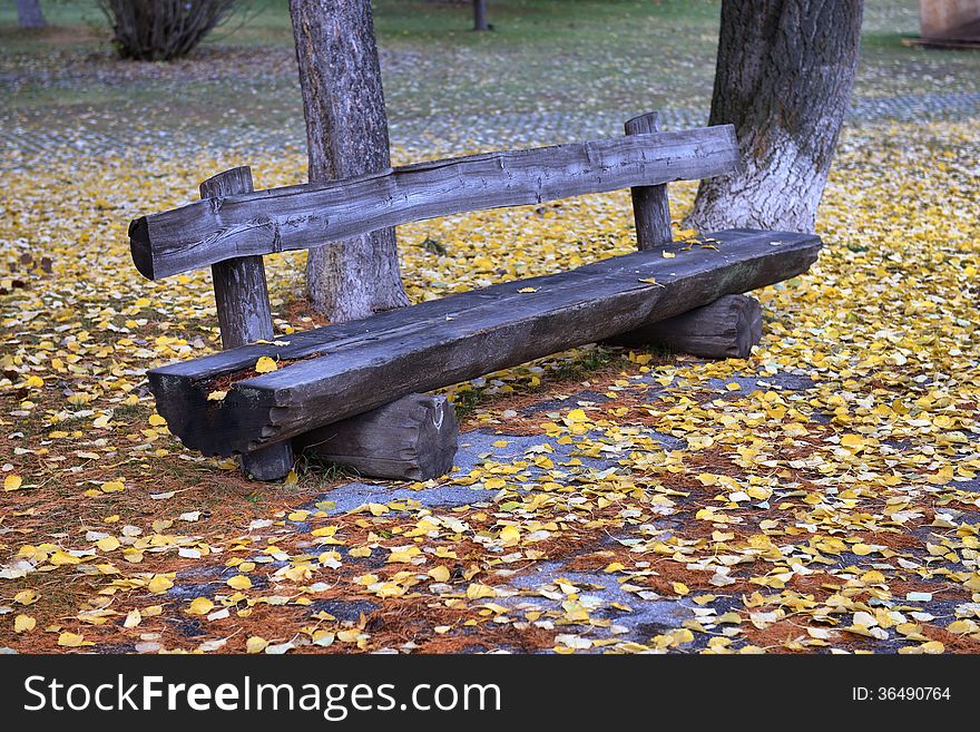 Bench in the park among yellow leaves