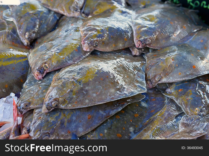 Flatfish on the stand of the fish market