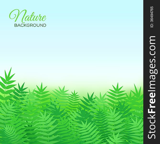 Natural beautiful background with grass. Vector illustration. Natural beautiful background with grass. Vector illustration