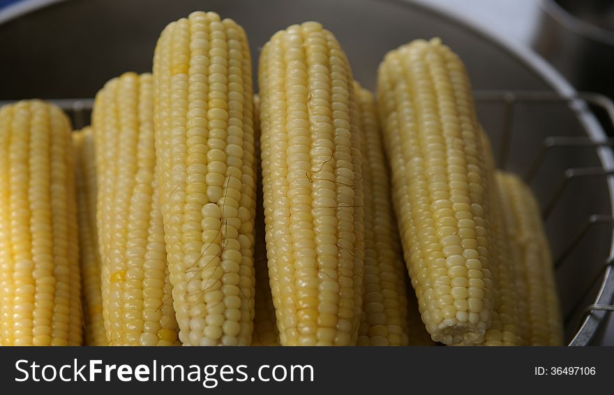 Cooked Corn.