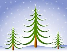 Winter Christmas Tree Scene In Snow Stock Photography Winter Christmas Tree Scene In Snow Stock Photography