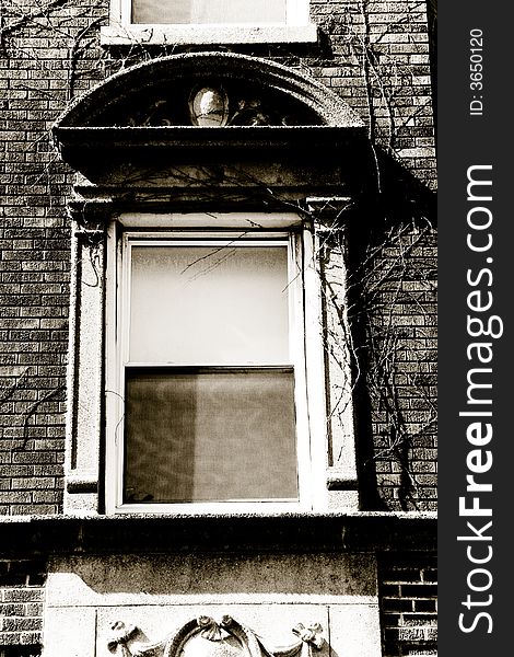 Old window with vines growing and rough stone texture on brick structure