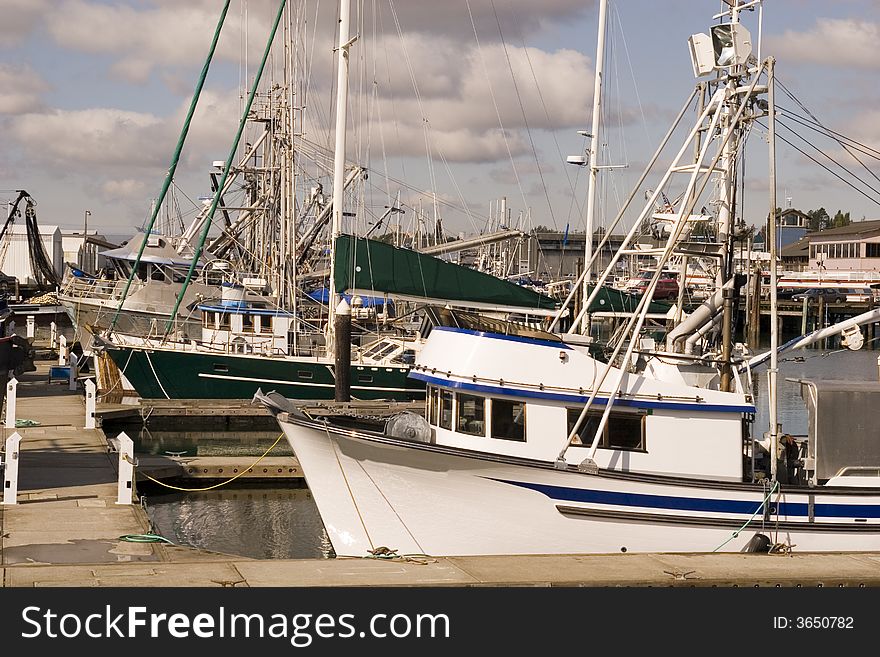 Fishing Boats At Marina