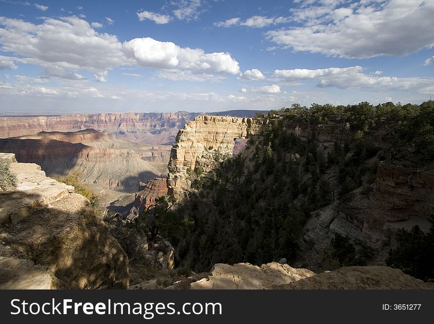 Views of The Grand Canyon, North Rim