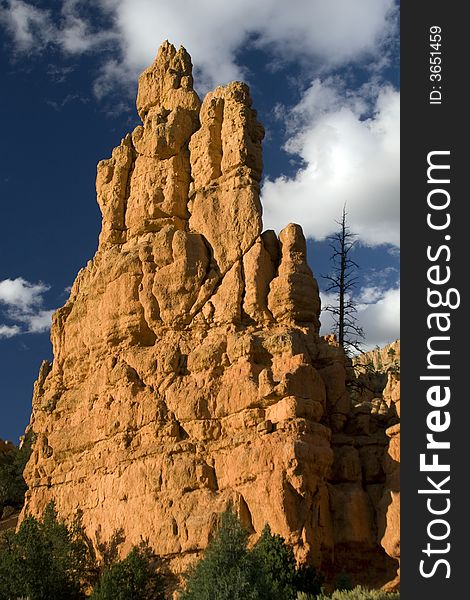 Zion National Park