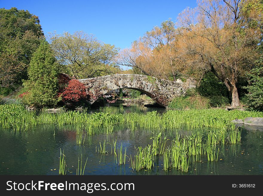 Central Park bridge and lake in the fall. Central Park bridge and lake in the fall.