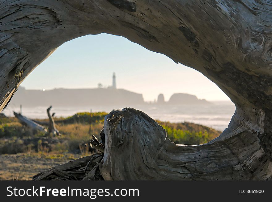 Curved section of driftwood filling frame with lighhouse in the background. Curved section of driftwood filling frame with lighhouse in the background