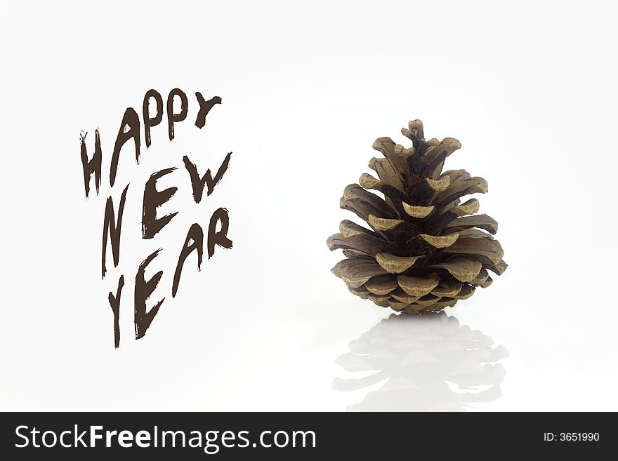 One pine cone isolated on white background