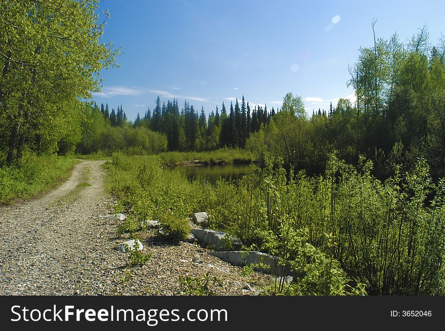 Photograph of the Chena River in Alaska just after breakup. Photograph of the Chena River in Alaska just after breakup
