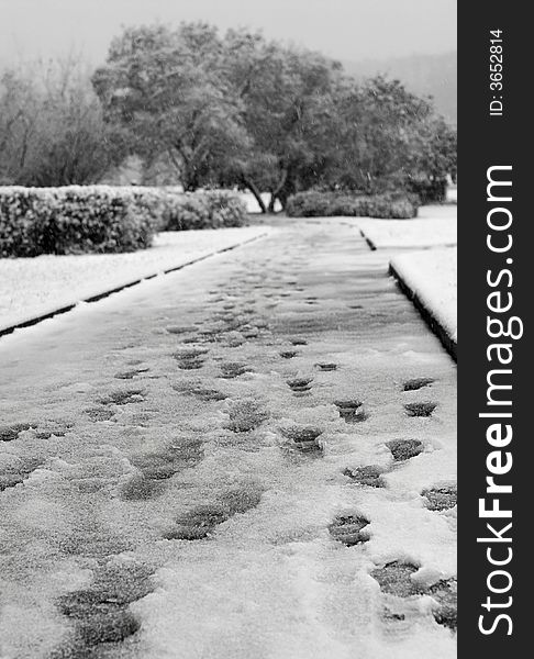 The first wet snowfall with traces of people on a footpath. The first wet snowfall with traces of people on a footpath