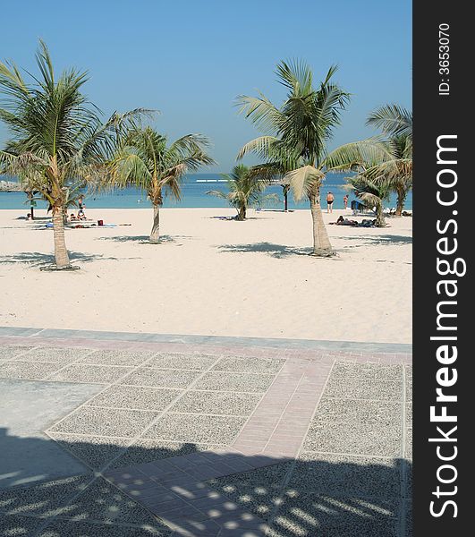 A sand beach with palms in Dubai