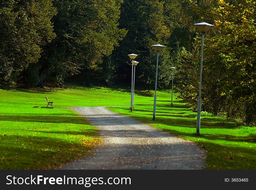 Autumn forest with a small walkpath