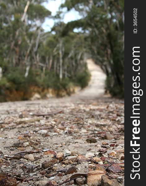 Winding bush track in the Blue Mountains of Australia. Winding bush track in the Blue Mountains of Australia