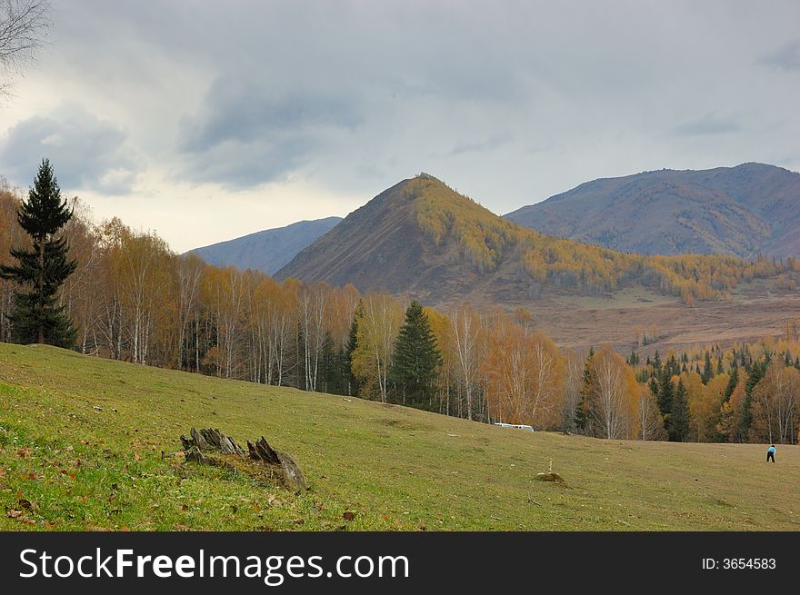 Pasture Land in Hemu