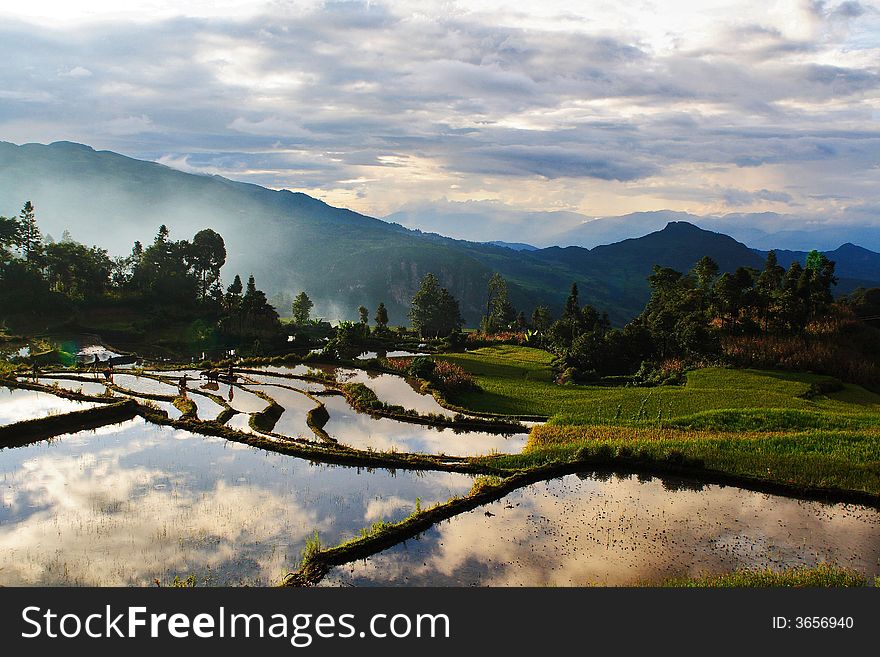 Evening of the terrace field,harvested fields reflect the cloud and clear sky.