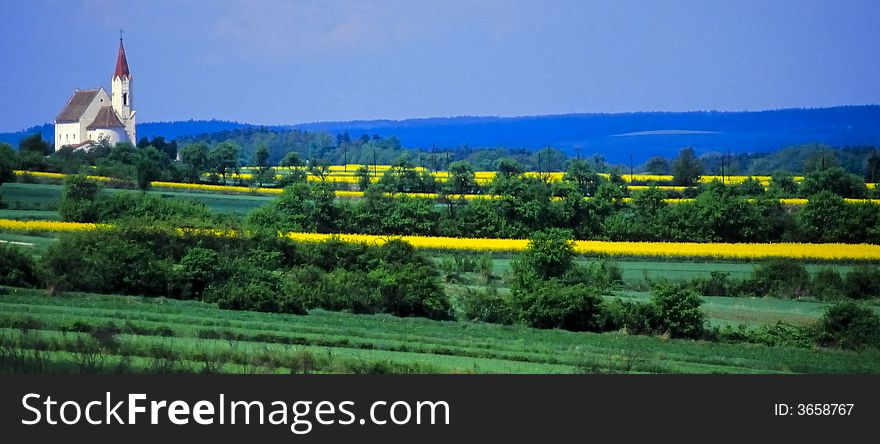 Rape fields with a white church in a hilly landscape. Rape fields with a white church in a hilly landscape