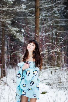 Beautiful Woman Under Warm Cute Wrap In Cold Snow Forest Royalty Free Stock Photos Beautiful Woman Under Warm Cute Wrap In Cold Snow Forest Royalty Free Stock Photos
