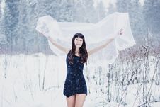 Beautiful Bride Under Veil On White Snow Background Royalty Free Stock Photos Beautiful Bride Under Veil On White Snow Background Royalty Free Stock Photos