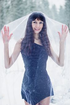 Beautiful Bride Under Veil On White Snow Background Royalty Free Stock Images