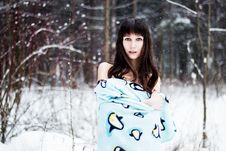 Beautiful Woman Under Warm Cute Wrap In Cold Snow Forest Royalty Free Stock Images Beautiful Woman Under Warm Cute Wrap In Cold Snow Forest Royalty Free Stock Images