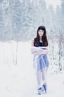Beautiful Bride Under Veil On White Snow Background Stock Photography Beautiful Bride Under Veil On White Snow Background Stock Photography
