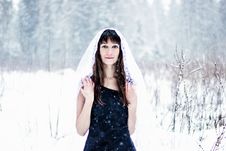 Beautiful Bride Under Veil On White Snow Background Royalty Free Stock Photo Beautiful Bride Under Veil On White Snow Background Royalty Free Stock Photo