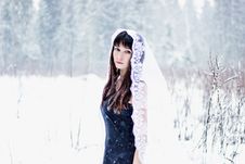 Beautiful Bride Under Veil On White Snow Background Stock Image Beautiful Bride Under Veil On White Snow Background Stock Image