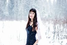 Beautiful Bride Under Veil On White Snow Background Royalty Free Stock Photos