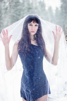Beautiful Bride Under Veil On White Snow Background Stock Photos