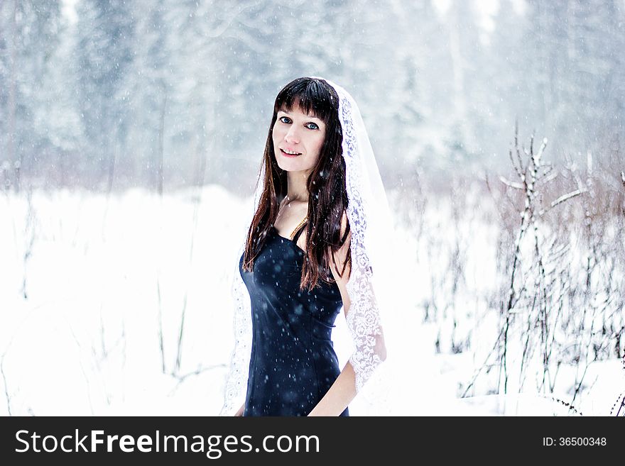 Beautiful Bride Under Veil On White Snow Background