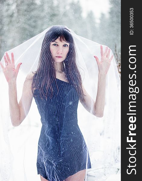 Beautiful Bride Under Veil On White Snow Background