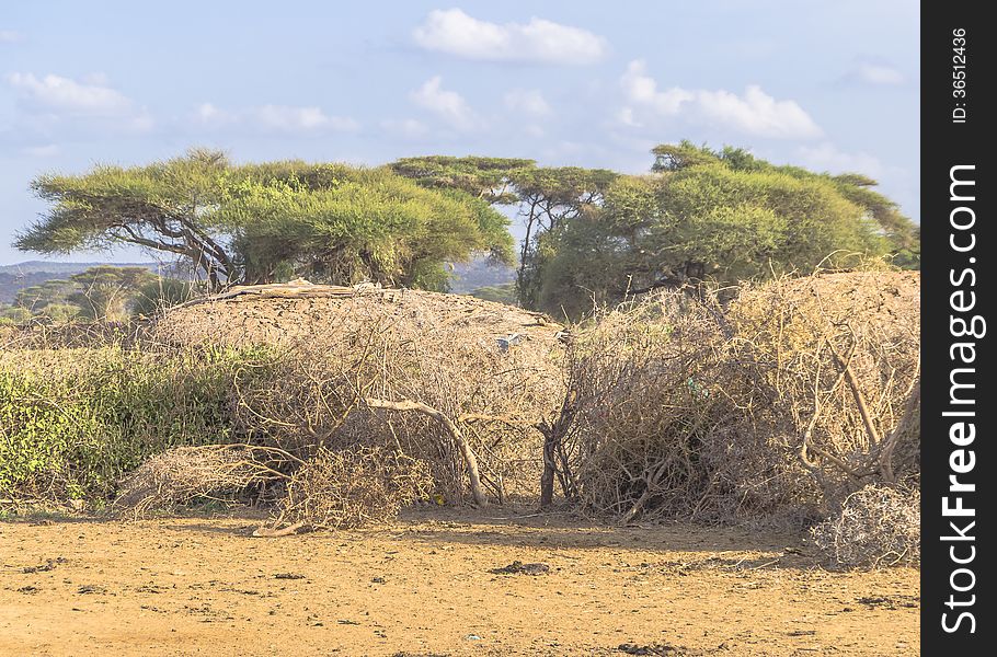 Cottage in the Masai camp in Kenya. Obscured from animals