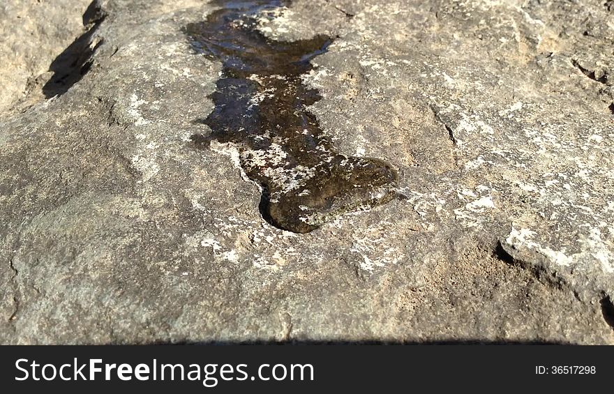 Water Droplet Running Over Rock