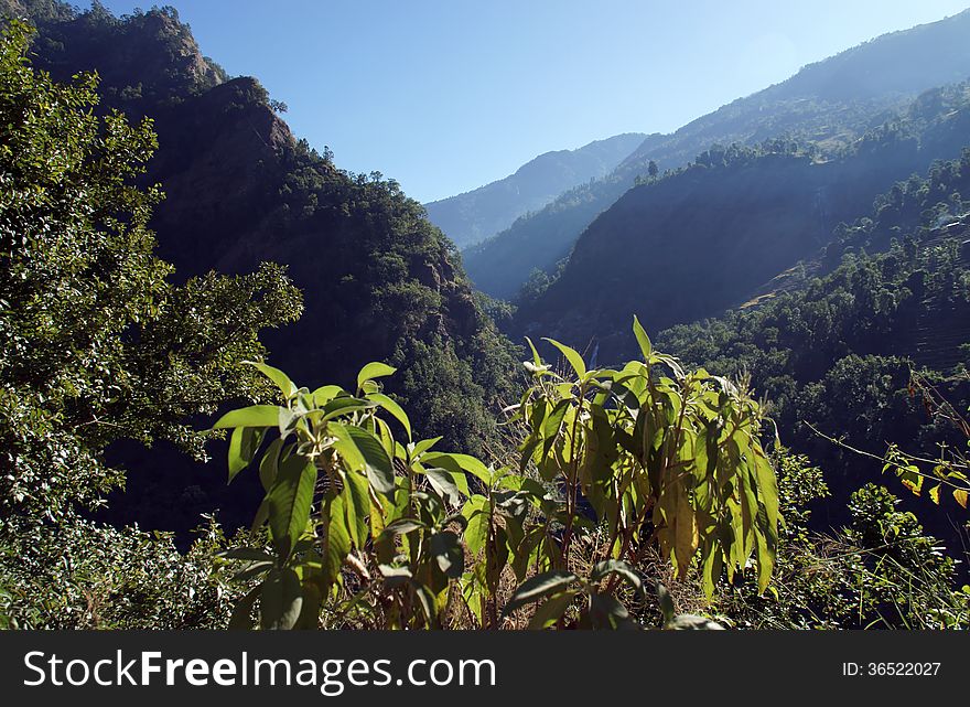 Aerial view, green mountains and Sunny day with a light haze. Aerial view, green mountains and Sunny day with a light haze