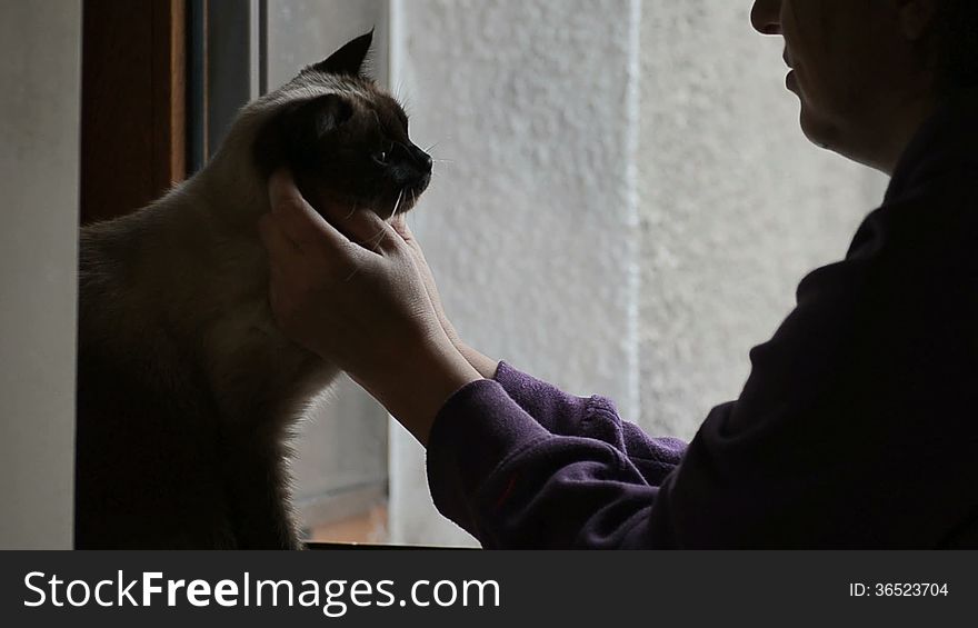 Woman And Cat