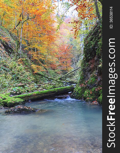 Galbena canyon autumn in Transylvania