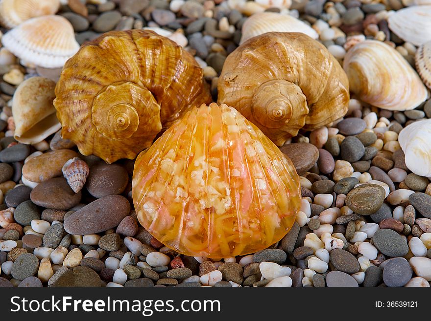 Natural skincare products of exfoliating scrub, soap and sea shells on background sea pebble. Natural skincare products of exfoliating scrub, soap and sea shells on background sea pebble