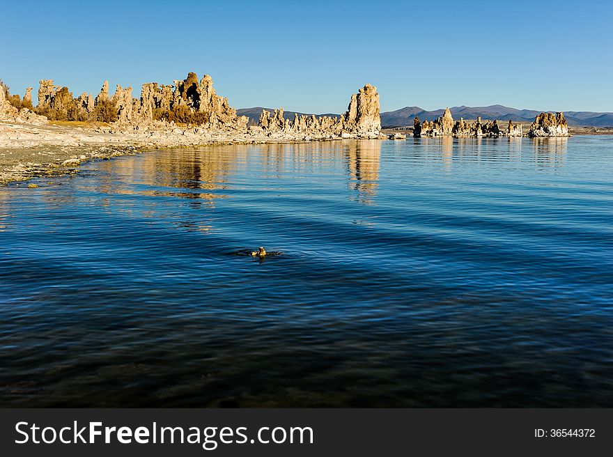 Tufa formations rise out of the water and ground at Mono Lake. Tufa formations rise out of the water and ground at Mono Lake