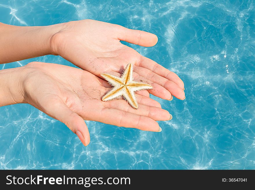 Woman Holding Starfish In A Hands