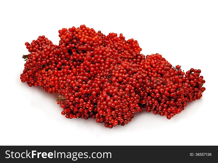 Red viburnum berries, isolated on white background. Red viburnum berries, isolated on white background.