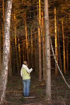 The Girl At The Entrance To A Dense Forest, At Sunset Royalty Free Stock Photos The Girl At The Entrance To A Dense Forest, At Sunset Royalty Free Stock Photos