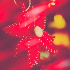 Red Poinsettia Christmas Ornament Stock Photography Red Poinsettia Christmas Ornament Stock Photography