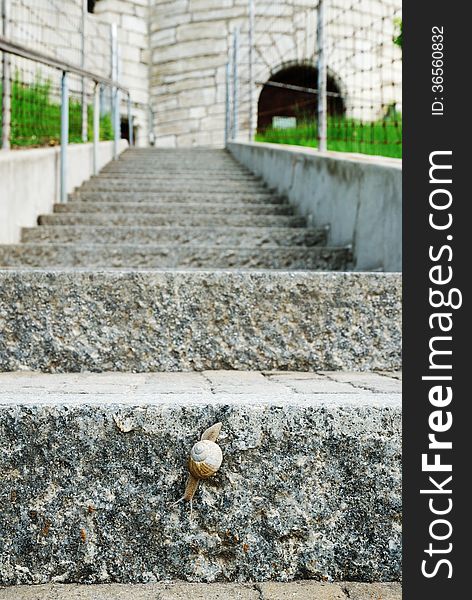 The stone staircase is photographed with diminishing perspective. In the foreground a land snail is going down on the steps. The stone staircase is photographed with diminishing perspective. In the foreground a land snail is going down on the steps.