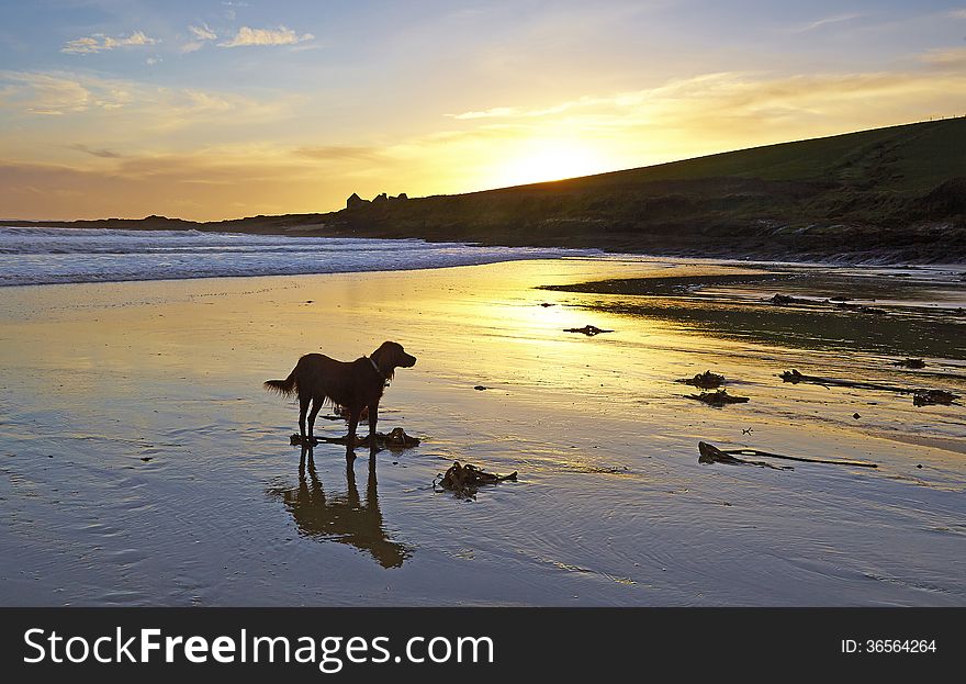 Howe S Strand, Kilbrittain, Co. Cork, Ireland