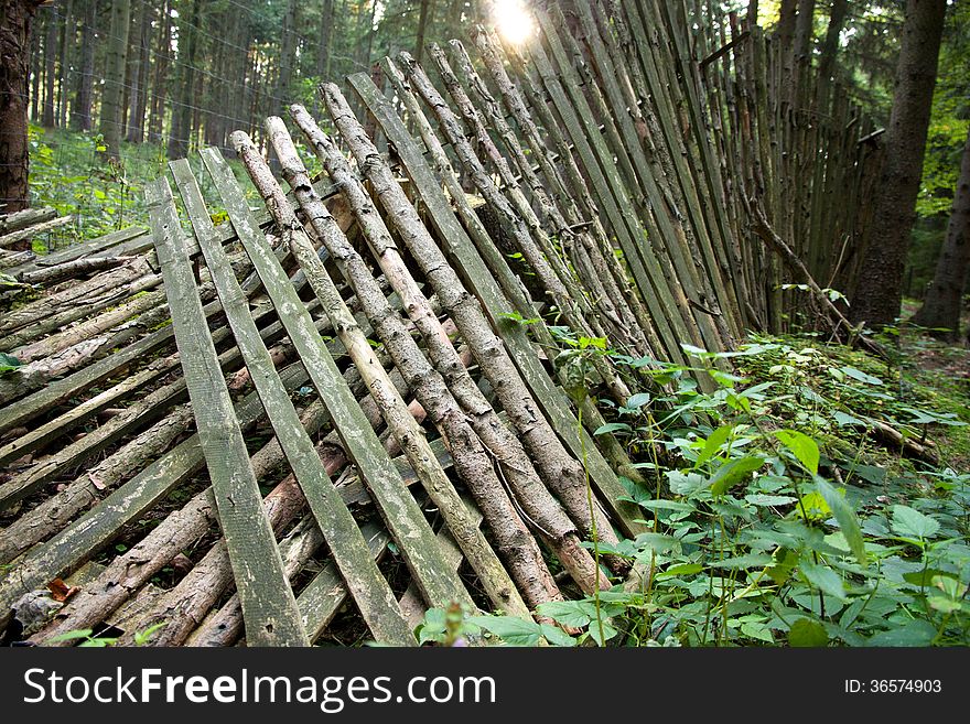 Wooden fence in the forest