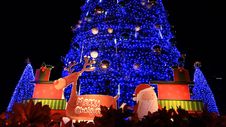 Christmas Tree With Light Moving Stock Photography Christmas Tree With Light Moving Stock Photography