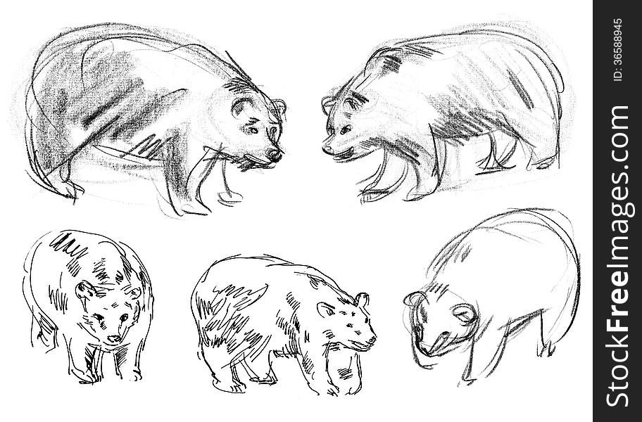 Brown bear. Set. Hand-drawn