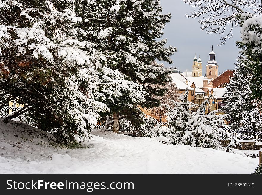 City Park with snowy fir trees and benches, can be seen the dome. City Park with snowy fir trees and benches, can be seen the dome