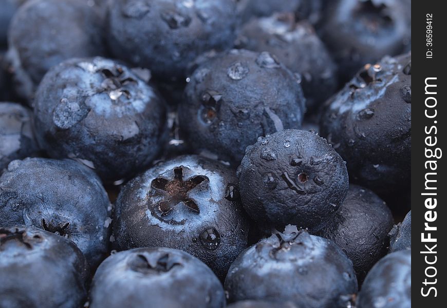 Blueberry tasty and useful berry. Blueberry tasty and useful berry